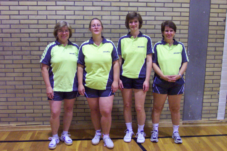 Damenmannschaft 2010/2011