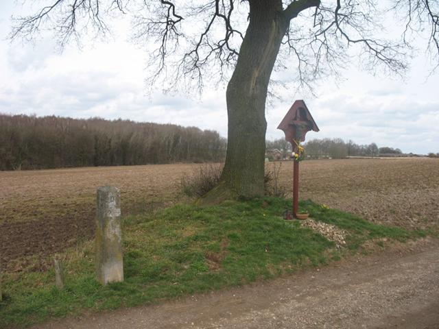 orsbach2016_04